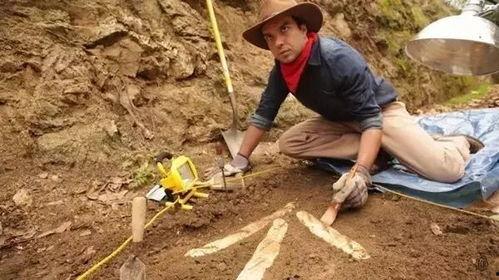 吃瓜考古专家,揭秘历史背后的瓜田故事