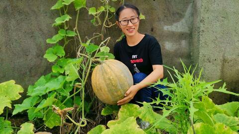 在乡下吃瓜,一场乡村夏日美食之旅