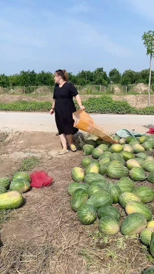 在乡下吃瓜,一场乡村夏日美食之旅