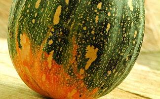 烂瓜怎么这么吃,创意烹饪新尝试