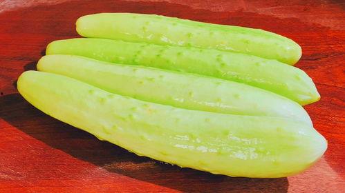 仙人瓜怎么吃,探索美味与健康的完美结合