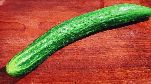 仙人瓜怎么吃,探索美味与健康的完美结合