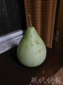 盐城最火的吃瓜,揭秘本地最火美食传奇