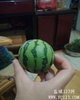 盐城最火的吃瓜,揭秘本地最火美食传奇