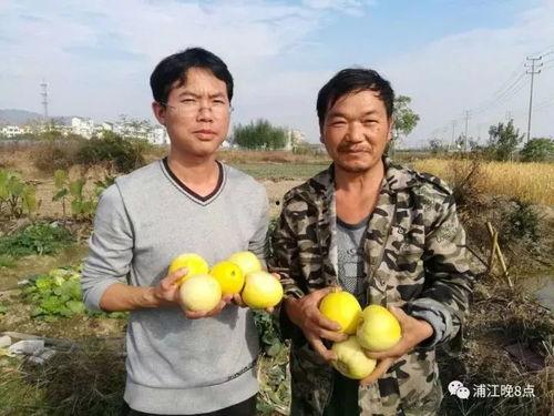 迷人吃瓜,迷人吃瓜，一网打尽明星幕后故事