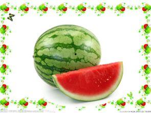 摸瓜跟那个朴瓜可以吃吗,揭秘可食用之谜