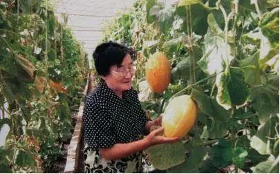 今日吃瓜91热门大瓜,吃瓜91热门大瓜盘点，揭秘娱乐圈最新动态