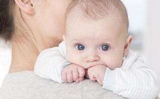 母乳期吃瓜篓子,瓜篓子的营养与食用指南