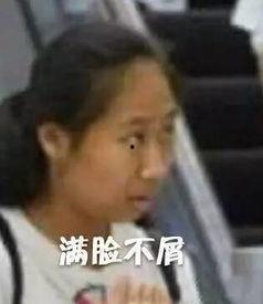 小说吃瓜一姐,揭秘娱乐圈背后的秘密与真相