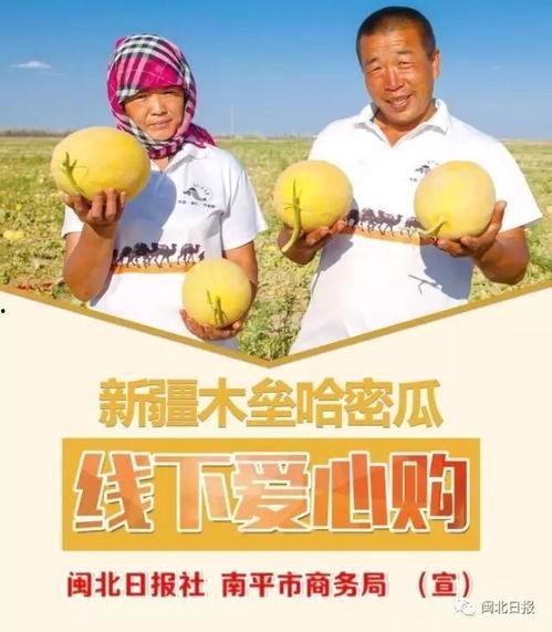 吃爱心瓜的感受,品味爱心瓜的温馨滋味