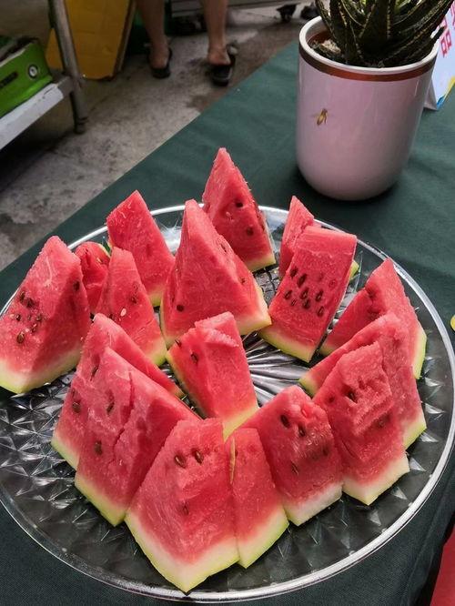 吃瓜的礼仪,解锁优雅吃瓜礼仪全攻略