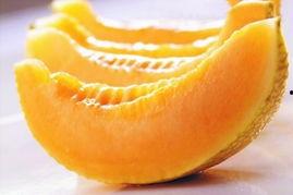 条条吃哈密瓜,探寻新疆甜蜜果实的魅力之旅