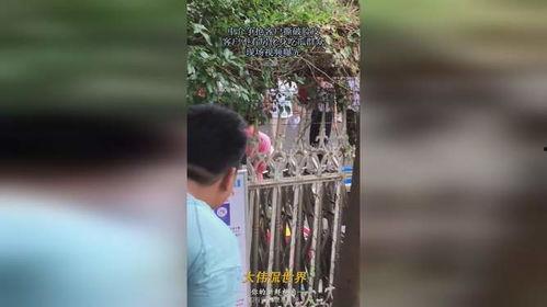 当场吃瓜视频,吃瓜群众围观大事件，视频记录精彩瞬间