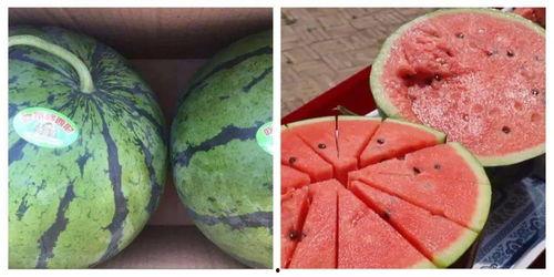 吃瓜学习社,揭秘娱乐圈背后的故事与真相