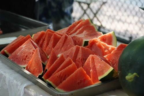 吃学校里面的瓜,揭秘校园里的那些秘密与传闻