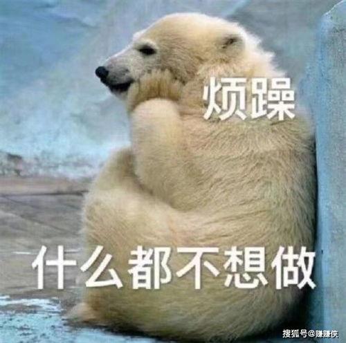 笑脸吃瓜表情图吃狗头