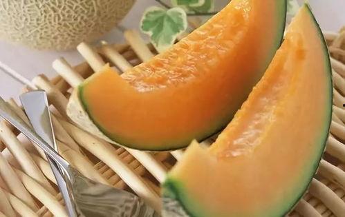 梦见他吃哈密瓜好甜,哈密瓜的奇幻之旅