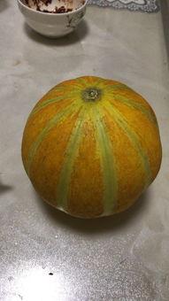 怀孕可以吃瓜种吗,孕妇可以吃瓜种吗？