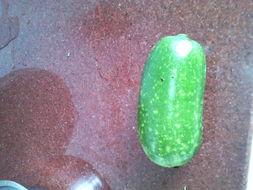 怀孕可以吃瓜种吗,孕妇可以吃瓜种吗？