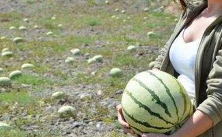 不敢随便吃瓜了,揭秘网络舆论背后的真相与风险