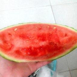 为什么吃瓜好爽,揭秘吃瓜爽快感背后的科学原理