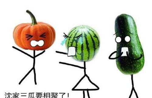 吃瓜缘分,一场意外的吃瓜之旅