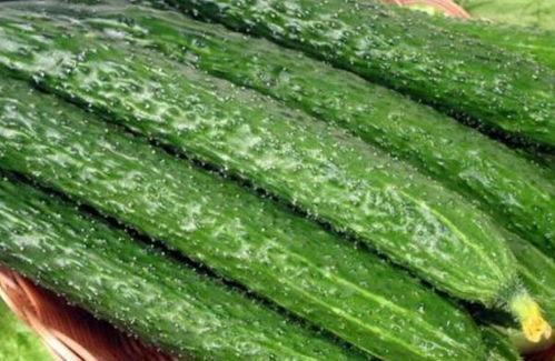 冻瓜可以吃不,冻瓜的神奇魅力