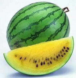 红衣哥吃捎瓜,一场甜蜜的夏日冒险