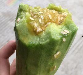 声控吃羊角瓜,唤醒羊角瓜的甜蜜诱惑