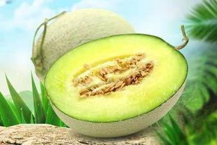 晓蜜瓜什么季节吃,夏季消暑佳品，尽享清凉美味
