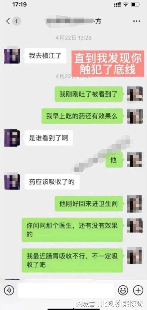聊天记录吃瓜解剖,吃瓜解剖背后的真相与内幕