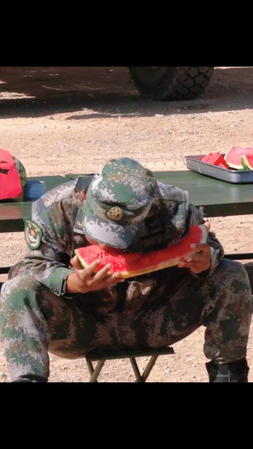 军营吃瓜视频大全,吃瓜视频大全集锦