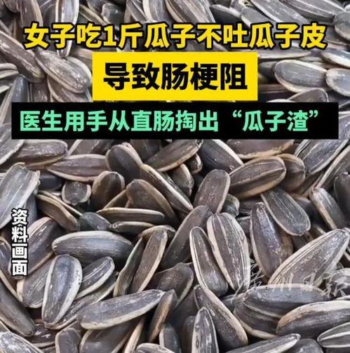 吃瓜子不吐瓜,品味生活，享受人生