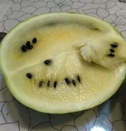 吃瓜子不吐瓜,品味生活，享受人生