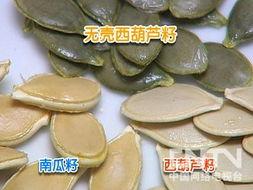 吃瓜子不吐瓜,品味生活，享受人生