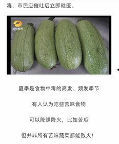 什么瓜是吃种子,揭秘种子如何成就美味佳肴