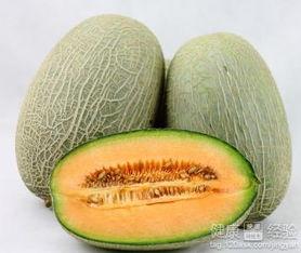 吃排骨可以吃哈密瓜吗,营养互补的美食探索