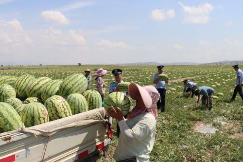 会宁吃瓜事件,一场网络舆论的风波与反思