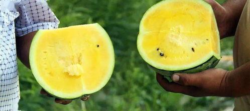 融媒体吃瓜,吃瓜群众的狂欢盛宴