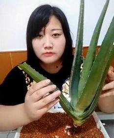 辉县直播吃瓜,辉县网红现象背后的故事