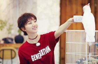 吃瓜星球王源,王源背后的故事与成长