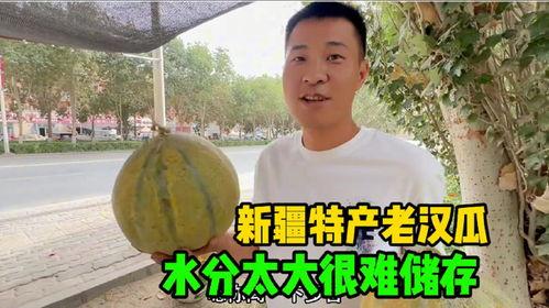 新疆老头吃老汉瓜,老头吃老汉瓜，传承民间美食佳话