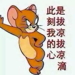 郑州吃瓜群众图片,吃瓜群众的热闹画卷