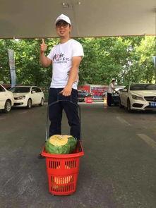 郑州吃瓜群众图片,吃瓜群众的热闹画卷