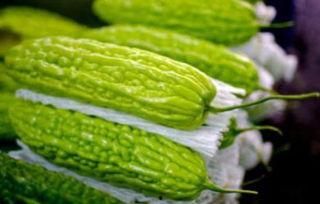 孕妇可以吃荷兰瓜,荷兰瓜助力母婴健康