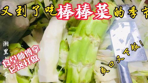 奉节教师吃瓜,揭秘校园里的“瓜田”风云