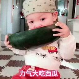 宝贝吃小瓜视频大全,小瓜视频大全精选集