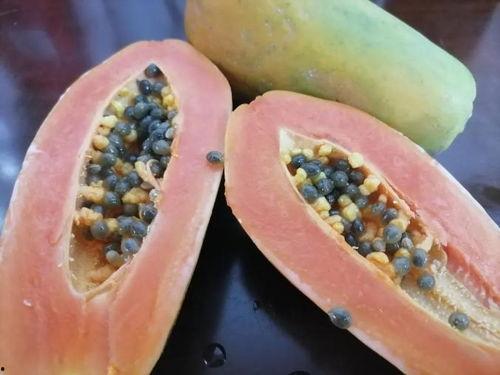 对线吃瓜,对线吃瓜，揭秘赛场背后的精彩瞬间