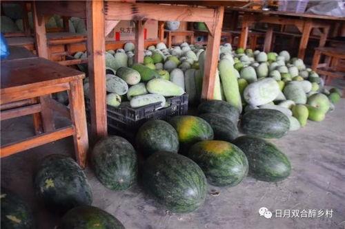 对线吃瓜,对线吃瓜，揭秘赛场背后的精彩瞬间