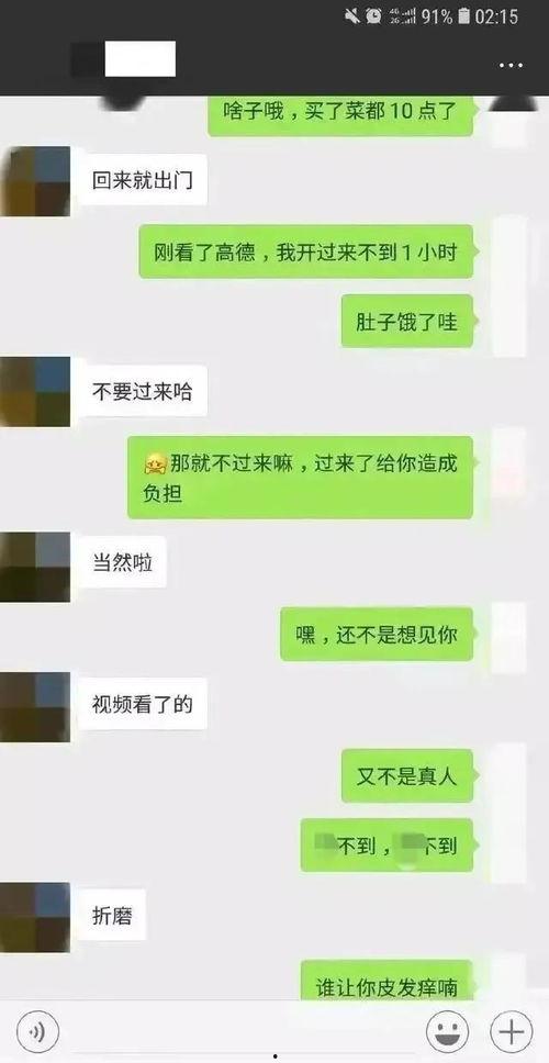聊天记录吃瓜解剖